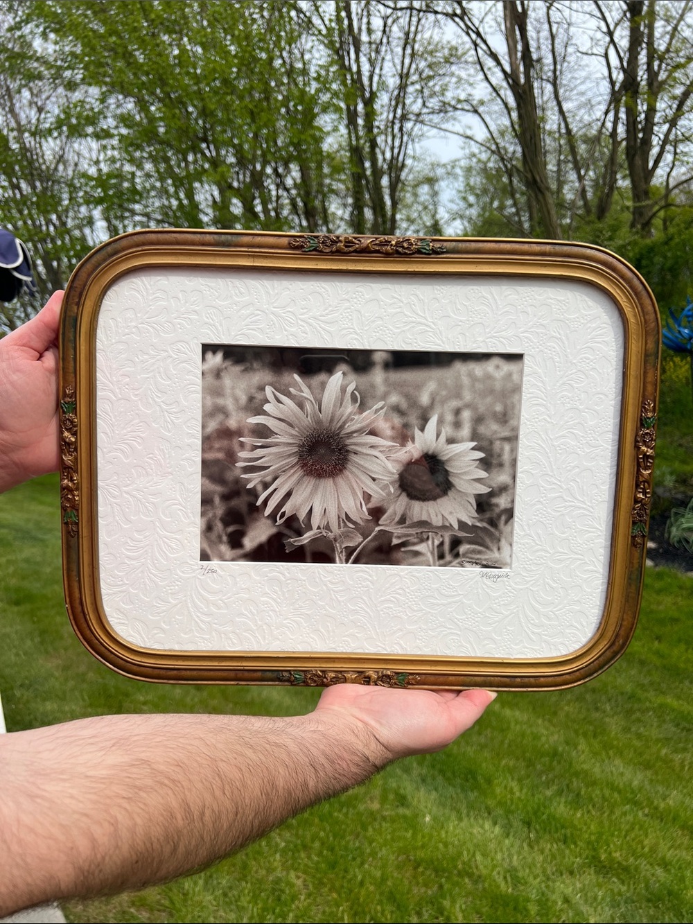 Antique Victorian Gesso Wood Framed Sunflower Field Embossed Matting Wall Art